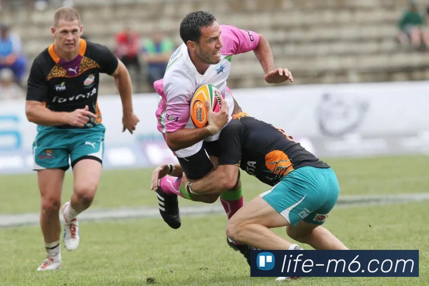 M16体育投注平台平台生态图